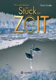 Cover von Nur ein kleines Stück der Zeit