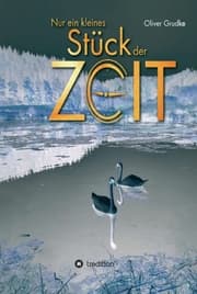 Cover von Nur ein kleines Stück der Zeit