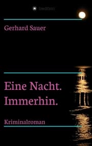 Cover von Eine Nacht. Immerhin.