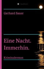 Cover von Eine Nacht. Immerhin.