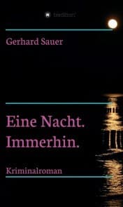 Cover von Eine Nacht. Immerhin.