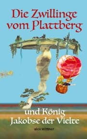 Cover von Die Zwillinge vom Plattberg