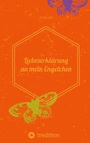 Cover von Liebeserklärung an einen Engel