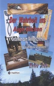 Cover von Der Wahrheit ins Auge blicken