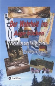 Cover von Der Wahrheit ins Auge blicken