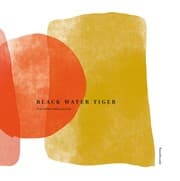 Cover von BLACK WATER TIGER