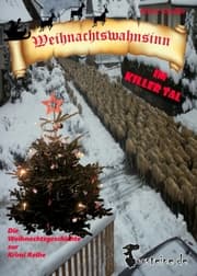 Cover von Weihnachtswahnsinn im Killer Tal