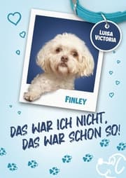 Cover von Das war ich nicht, das war schon so! 1. Auflage