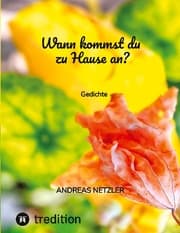 Cover von Wann kommst du zu Hause an?