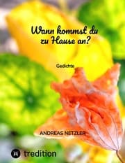 Cover von Wann kommst du zu Hause an?
