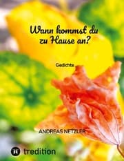 Cover von Wann kommst du zu Hause an?