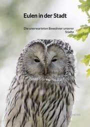 Cover von Eulen in der Stadt