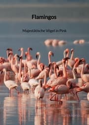 Cover von Flamingos - Majestätische Vögel in Pink