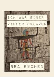 Cover von Ich war einer vieler Sklaven