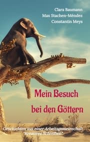 Cover von Mein Besuch bei den Göttern