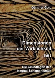Cover von Dimensionen der Wirklichkeit - Teil 3