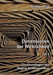 Cover von Dimensionen der Wirklichkeit - Teil 3