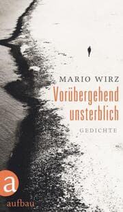 Cover von Vorübergehend unsterblich