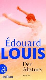 Cover von Der Absturz