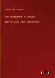 Cover von Vom Wiedersehen im Jenseits