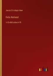 Cover von Felix Notvest