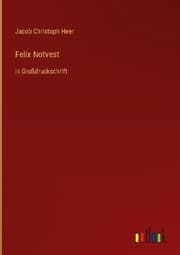 Cover von Felix Notvest