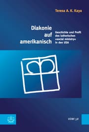 Cover von Diakonie auf amerikanisch