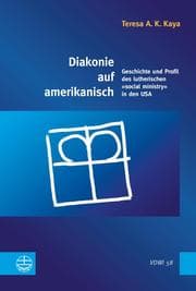Cover von Diakonie auf amerikanisch