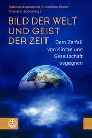 Cover von Bild der Welt und Geist der Zeit