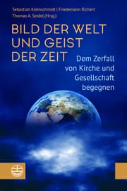 Cover von Bild der Welt und Geist der Zeit