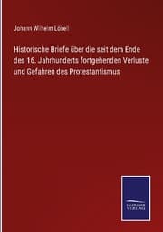 Cover von Historische Briefe über die seit dem Ende des 16. Jahrhunderts fortgehenden Verluste und Gefahren des Protestantismus