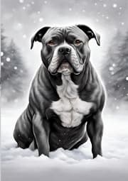 Cover von Hund Notizbuch American Bully Winterzeit Notizheft mit 55 Zitaten Lebensweisheiten Hundeliebe Geschenk Hundefreund Weihnachten, zum Wichteln, Adventszeit, Nikolaustag, Wichtelgeschenk unter 15 Euro