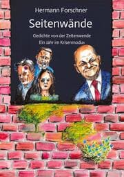 Cover von Seitenwände