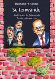 Cover von Seitenwände