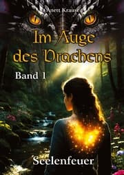 Cover von Im Auge des Drachens: Seelenfeuer