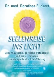 Cover von SEELENREISE INS LICHT. Lebensaufgabe, göttliche Potenziale und Ziele erinnern durch spirituelle Rückführung
