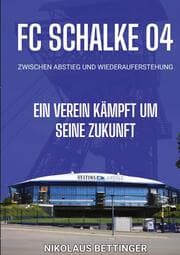 Cover von FC Schalke 04 - Zwischen Abstieg und Wiederauferstehung