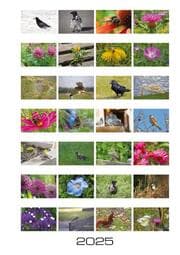 Cover von Stadtnatur