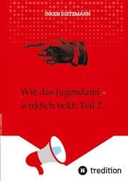 Cover von Wie das Jugendamt wirklich tickt! Teil 2