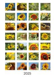 Cover von Sonnenblumen