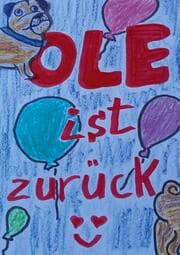 Cover von Ole ist zurück