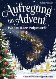 Cover von Aufregung im Advent