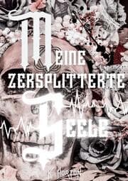 Cover von Meine zersplitterte Seele