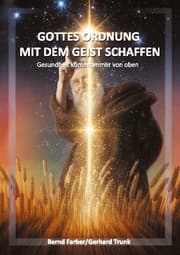 Cover von Gottes Ordnung mit dem Geist schaffen