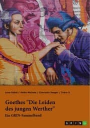 Cover von Goethes 'Die Leiden des jungen Werther'. Interpretationsansätze zu Struktur, Gattung und Motivik