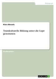 Cover von Transkulturelle Bildung unter die Lupe genommen