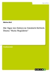 Cover von Die Figur des Dritten in Friedrich Hebbels Drama 'Maria Magdalene'
