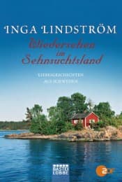 Cover von Wiedersehen im Sehnsuchtsland