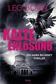 Cover von Kalte Erlösung