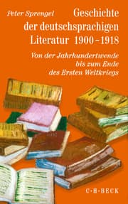 Cover von Geschichte der deutschsprachigen Literatur 1900-1918